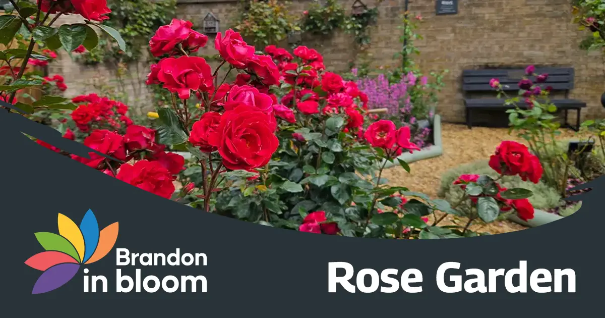 Rose Garden - Brandon in Bloom